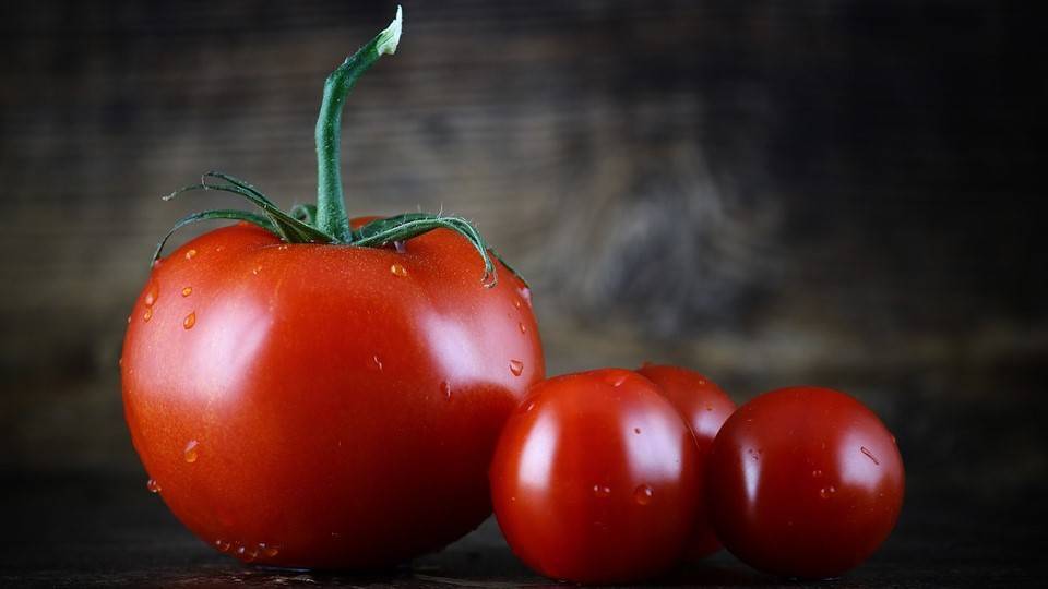 tomato-2823824_960_720|trusses-3264282_960_720|18202_modal